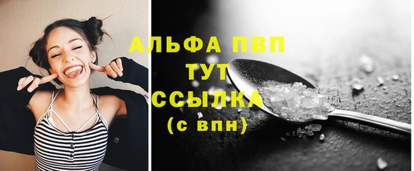 индика Наволоки